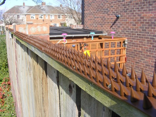 Fence spikes garden strips - fence,