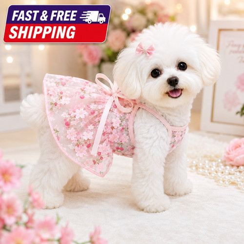 Small dog floral dress - small,