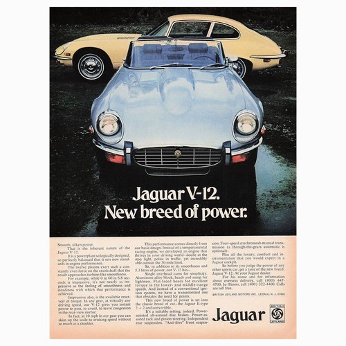 Jaguar british sports - british, car