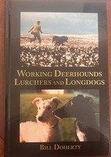 Working Deerhounds Lurchers