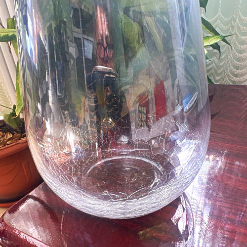 Clear glass crackle vase - glass,