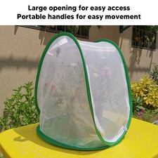 　Large Green Insect Mesh