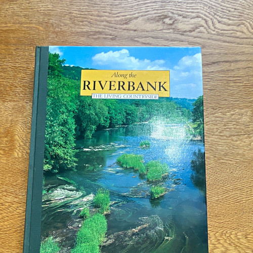 Along the riverbank - the,