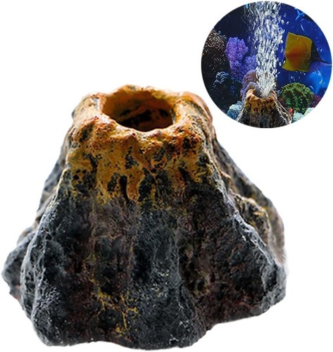 Fish tanks aquarium - fish,