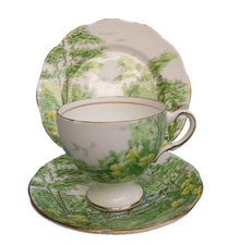 Vintage Salisbury  Bone China