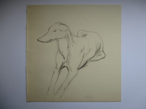 Original dog pencil drawing - dog,