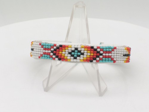 Native american navajo - native,