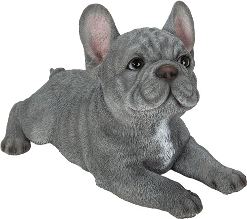 Vivid arts pet pal laying - pal, blue