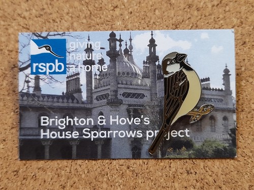 Rspb house sparrow - rspb,
