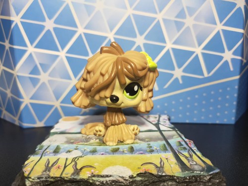 Lps littlest pet - littlest,