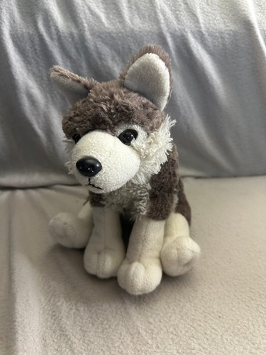 Ravensden husky puppy dog soft