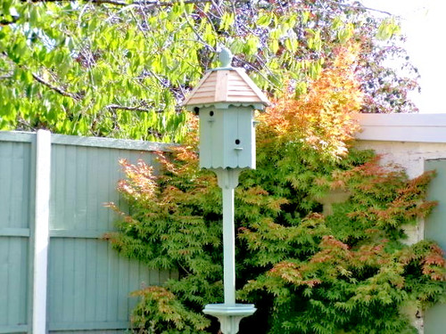 Dove cote bird table - dove, feeder