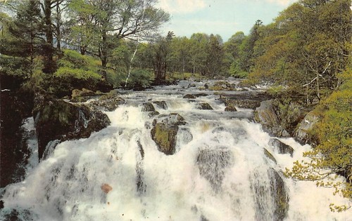 Family history postcard - -,