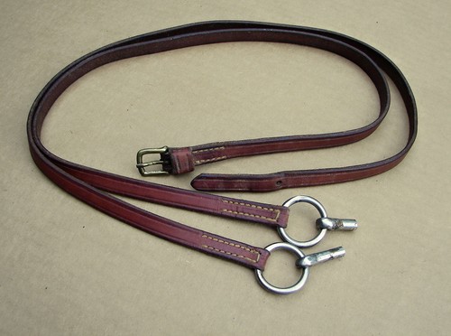 Nice english pony miniature - pony, /
