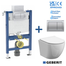 Wall Hung Toilet Geberit Pan