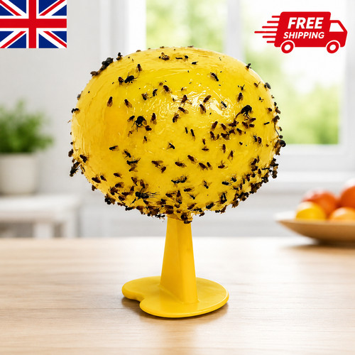 Fruit fly balls - fly,
