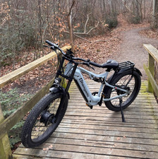 Adults 26" Dual Motor Fat Tyre