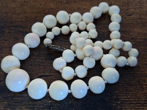 Antique angel skin coral - angel,