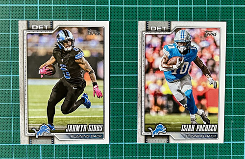 Detroit lions lot - lions,
