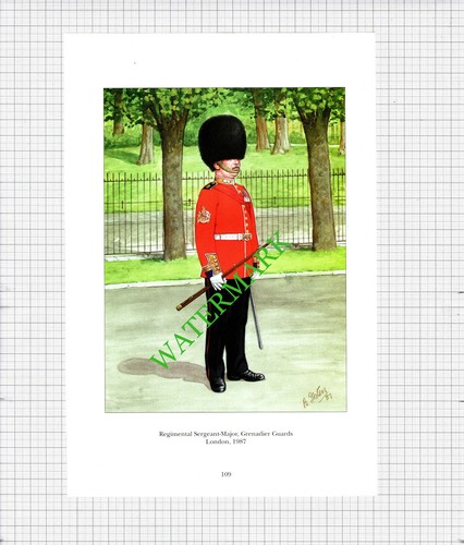 Regimental sergeant major - regimental,
