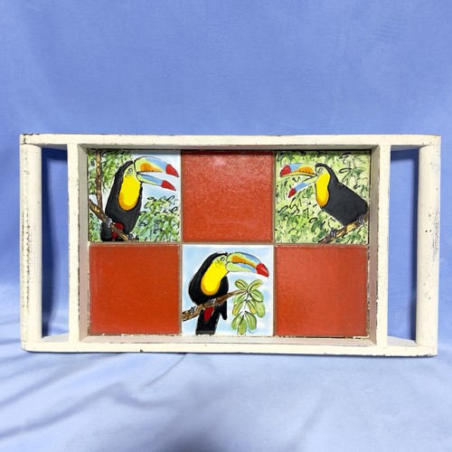 Wooden toucan serving - toucan,