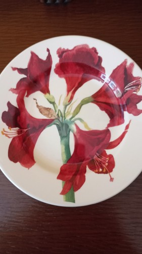 Emma bridgewater 1st - 1st, christmas