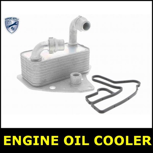 Engine oil cooler - engine, for