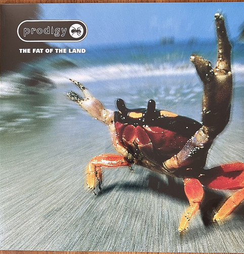 Prodigy the fat land - fat,