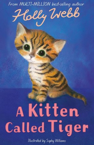 Kitten called tiger - a,