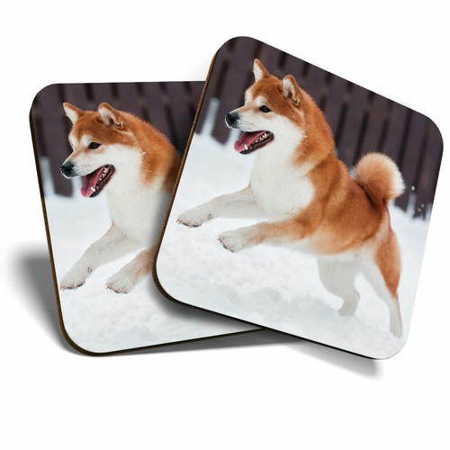 Coasters shiba inu akita - 2,