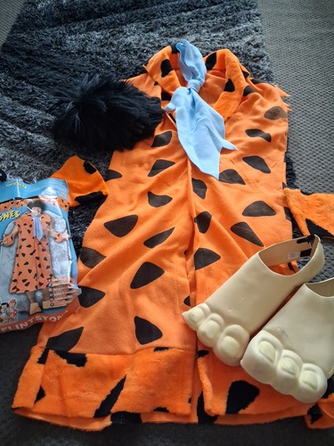 The flintstones fred - the,