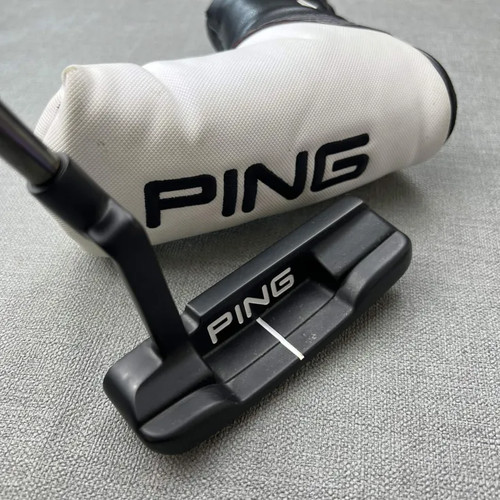 Ping anser 2021 - 2021, blade