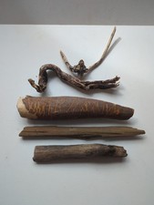 Mixed collection of driftwood