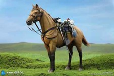 1/6 Scale Dragon In Dreams DID