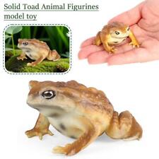 Realistic Frog and Toad Animal