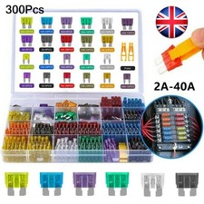 300pcs Standard Auto Car Blade