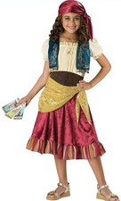 Gypsy Costume (Child Size Small)