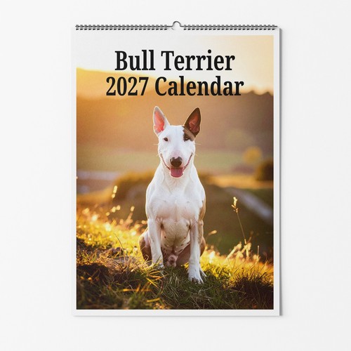 Bull terrier dog - bull,