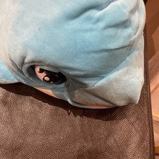 Blu Blu The Baby Dolphin