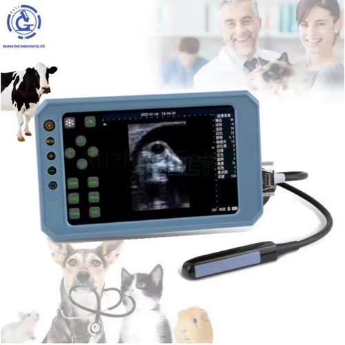Portable veterinary ultrasound - portable,