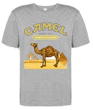 camel band music dj clubbing