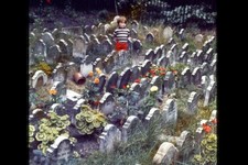 PETS CEMETERY VICTORIA GATE BAYSWATER 1970`S (35MM SLIDE) LOT B21