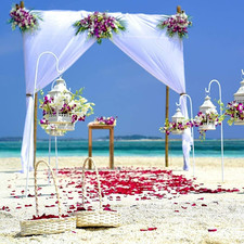 100G Natural Dried Rose Petals Real Flower Dry Red Rose Petal for Foot Bath Bod