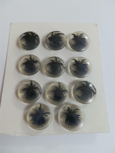 Unusual clear with black inset - with,