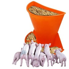Piglet Feeding Trough