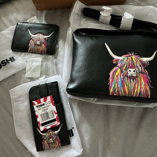 Yoshi highland cow - yoshi,