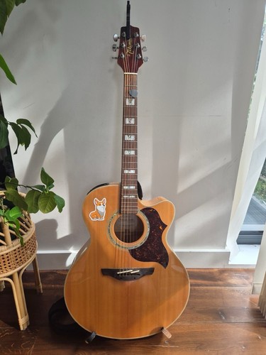 Takamine electro acoustic - electro-acoustic, +