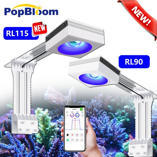 Popbloom rl90 rl115 led - rl115,
