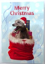 Lurcher Christmas card, order