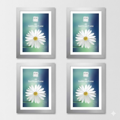 Set silver a4 certificate - set, of